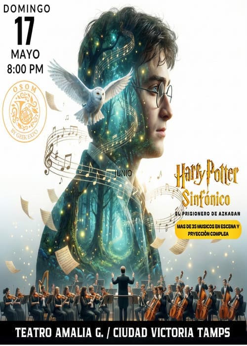 HARRY POTTER SINFONICO CD VICTORIA